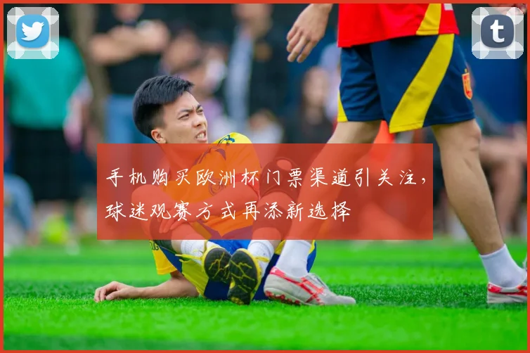 手机购买欧洲杯门票渠道引关注,球迷观赛方式再添新选择
