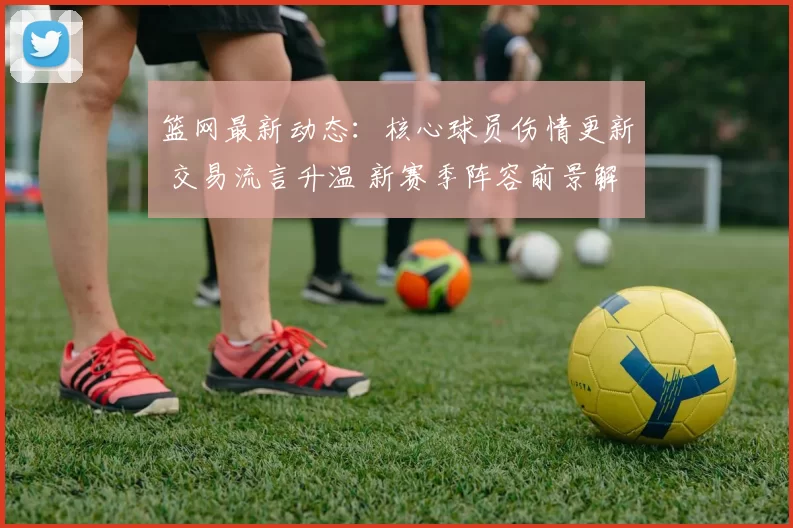 篮网最新动态：核心球员伤情更新 交易流言升温 新赛季阵容前景解析