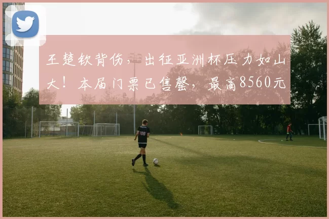 王楚钦背伤，出征亚洲杯压力如山大！本届门票已售罄，最高8560元